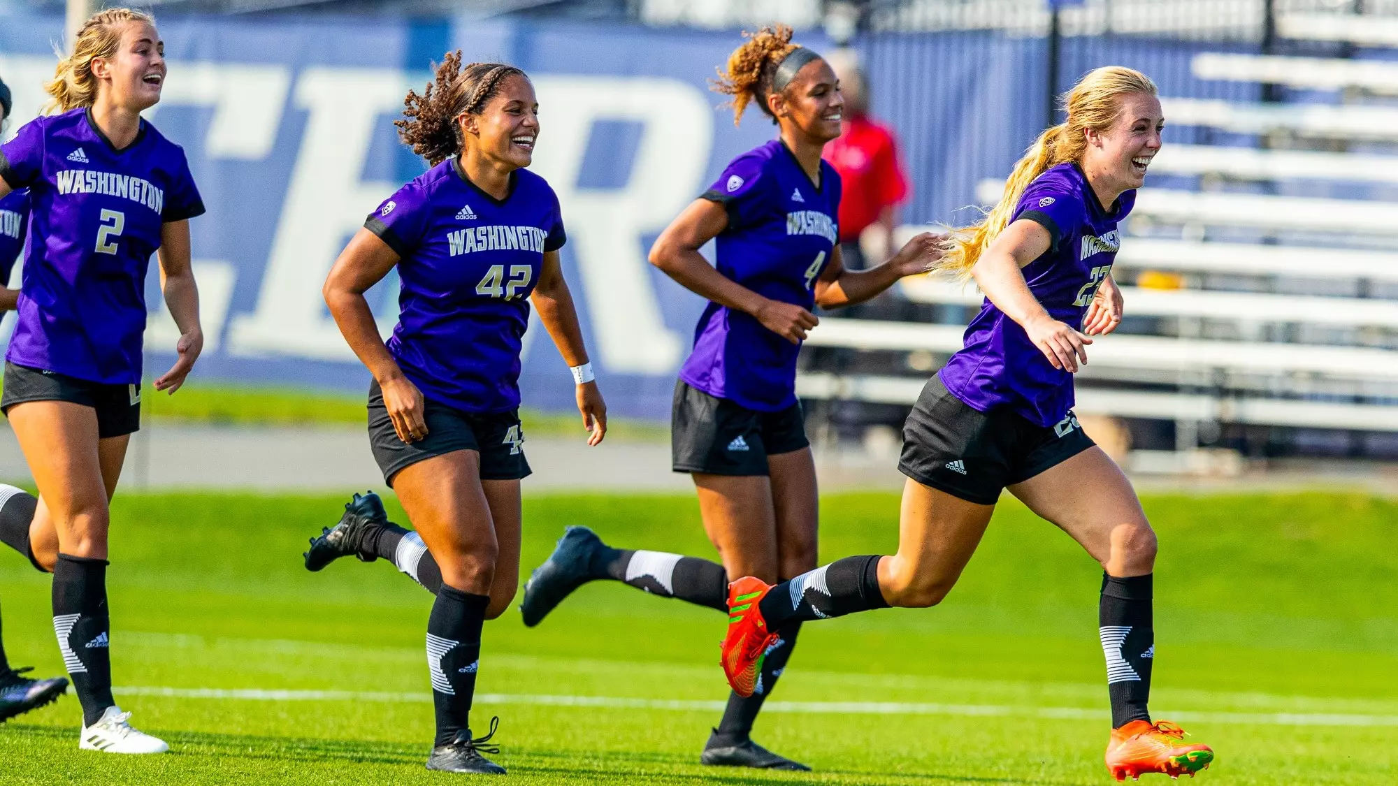 供了重要的 供了重要的